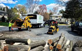 Best Emergency Tree Removal  in Aptos Hills Larkin Valley, CA