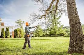 Best Tree and Shrub Care  in Aptos Hills Larkin Valley, CA